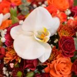 باکس مکعب مستطیلی