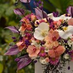 باکس مکعب مستطیل شکل