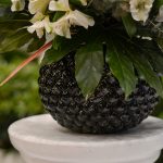 گلدان گل توپی شکل