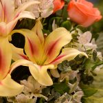 گلدان گل توپی شکل