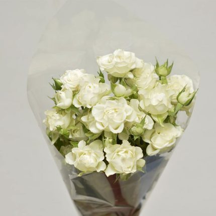 دسته گل رز مینیاتوری سفید