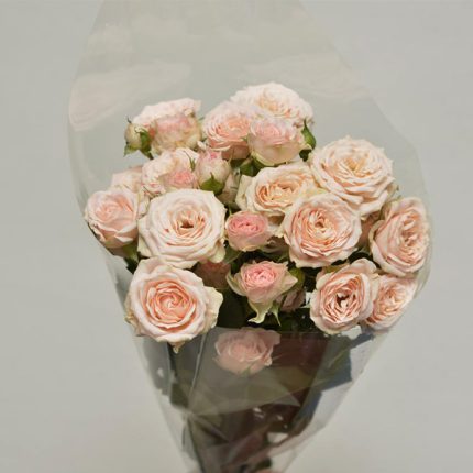 دسته گل رز مینیاتوری