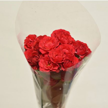 دسته گل رز مینیاتوری